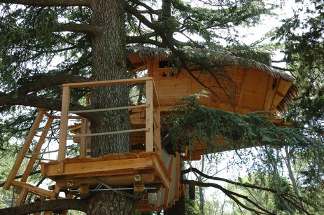 Cabane arbre millau