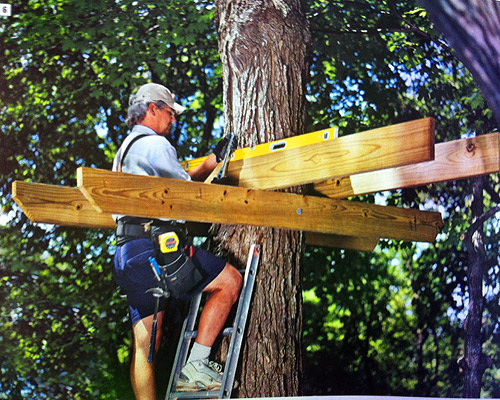 Quel bois pour cabane dans les arbres